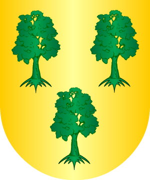 ESCUDO ALEATORIO
