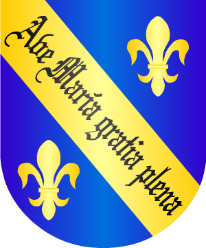 ESCUDO ALEATORIO