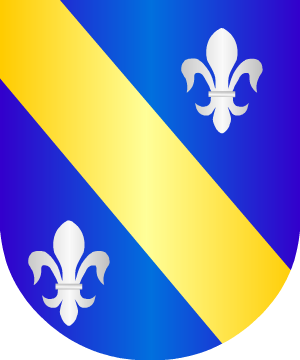 ESCUDO ALEATORIO