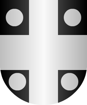 ESCUDO SIGUIENTE