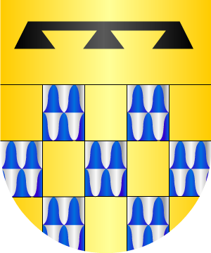 ESCUDO ALEATORIO