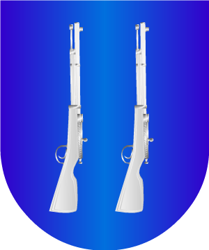 ESCUDO PRECEDENTE