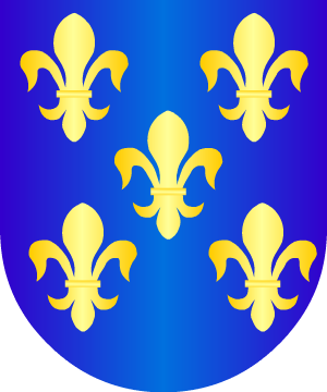 ESCUDO ALEATORIO