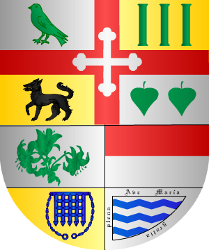 ESCUDO SIGUIENTE