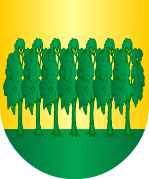 ESCUDO ALEATORIO