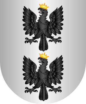 ESCUDO ALEATORIO