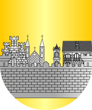 ESCUDO SIGUIENTE
