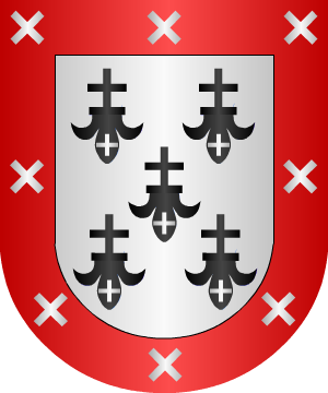 ESCUDO PRECEDENTE