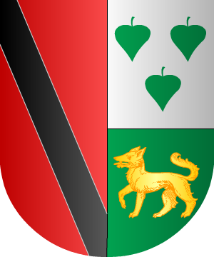 ESCUDO SIGUIENTE