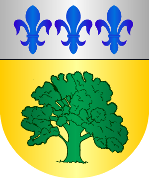 ESCUDO SIGUIENTE