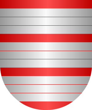 ESCUDO ALEATORIO