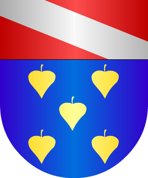 ESCUDO ALEATORIO