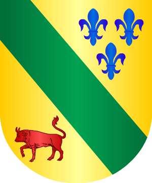 ESCUDO ALEATORIO