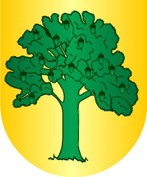 ESCUDO ALEATORIO