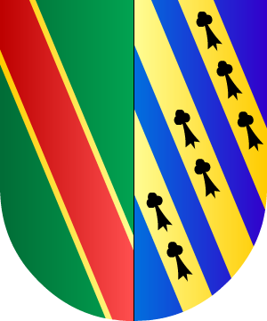 ESCUDO ALEATORIO