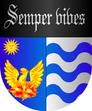 ESCUDO SIGUIENTE