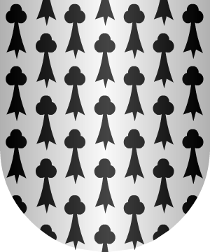 ESCUDO PRECEDENTE