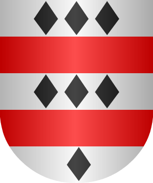 ESCUDO ALEATORIO