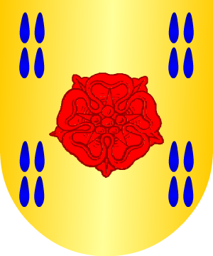 ESCUDO ALEATORIO