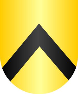 ESCUDO ALEATORIO