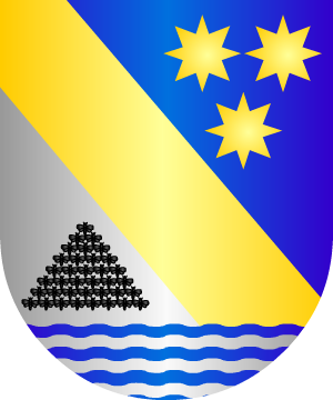 ESCUDO SIGUIENTE