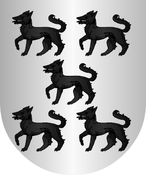 ESCUDO SIGUIENTE