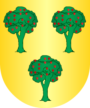 ESCUDO ALEATORIO