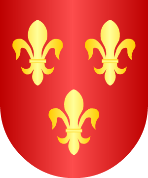 ESCUDO ALEATORIO