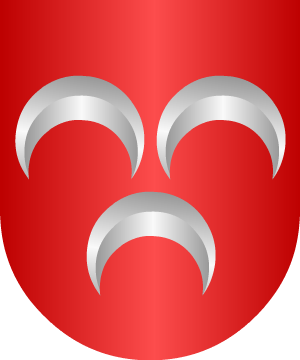 ESCUDO ALEATORIO