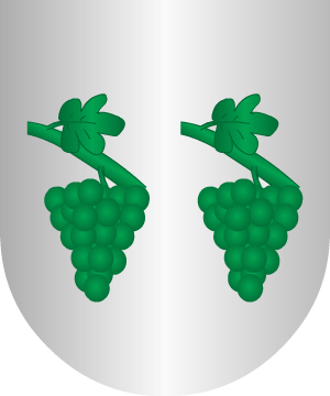 ESCUDO ALEATORIO
