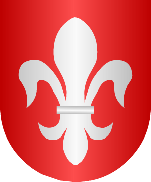 ESCUDO SIGUIENTE