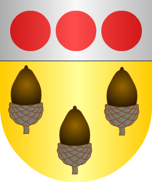 ESCUDO SIGUIENTE