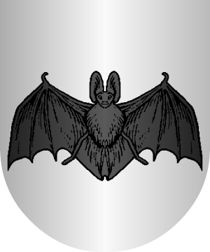 ESCUDO ALEATORIO