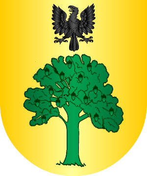 ESCUDO SIGUIENTE