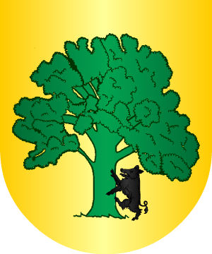 ESCUDO SIGUIENTE