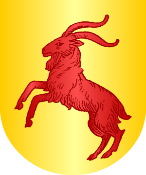 ESCUDO ALEATORIO