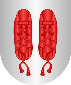ESCUDO SIGUIENTE