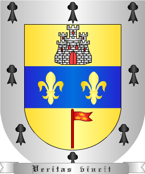 ESCUDO ALEATORIO