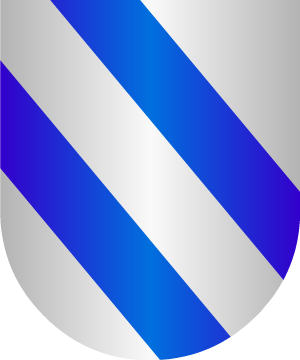 ESCUDO SIGUIENTE
