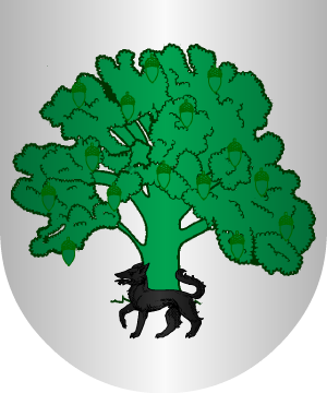 ESCUDO ALEATORIO