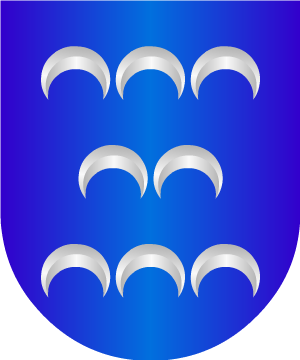 ESCUDO SIGUIENTE