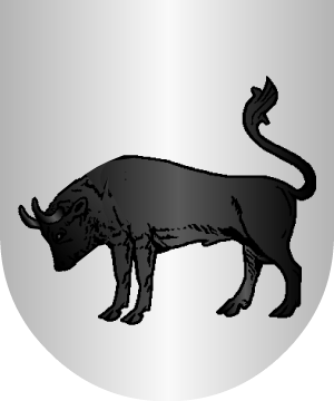 ESCUDO ALEATORIO