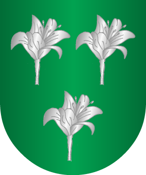 ESCUDO ALEATORIO