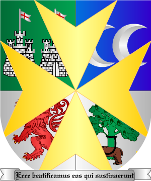 ESCUDO ALEATORIO