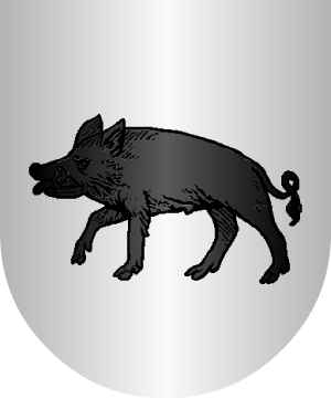 ESCUDO ALEATORIO