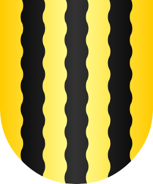 ESCUDO SIGUIENTE