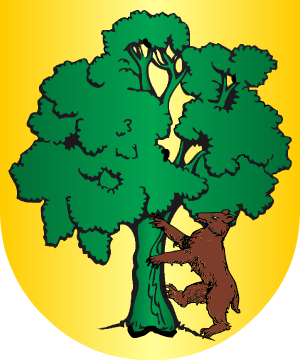 ESCUDO SIGUIENTE