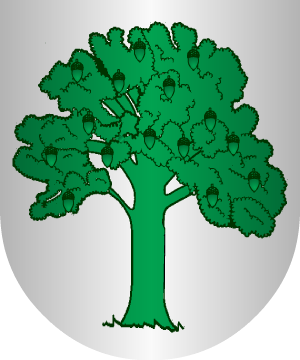 ESCUDO ALEATORIO