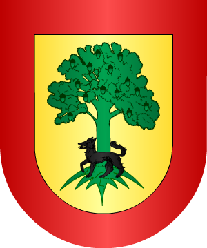 ESCUDO ALEATORIO