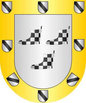 ESCUDO SIGUIENTE